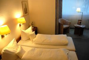 Bellevue 3* Dusseldorf